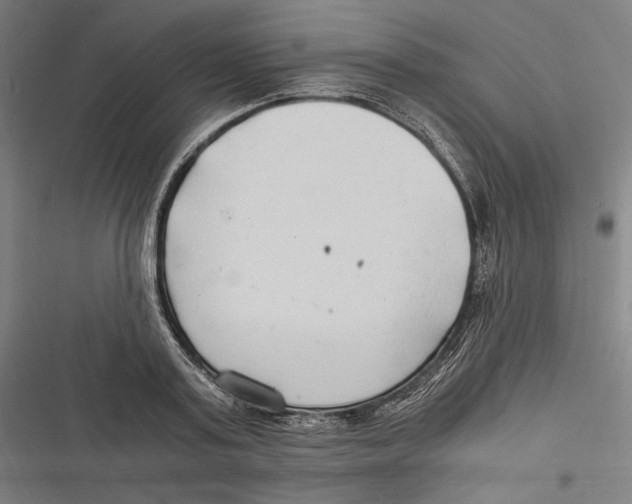 X0000116640795201001111207