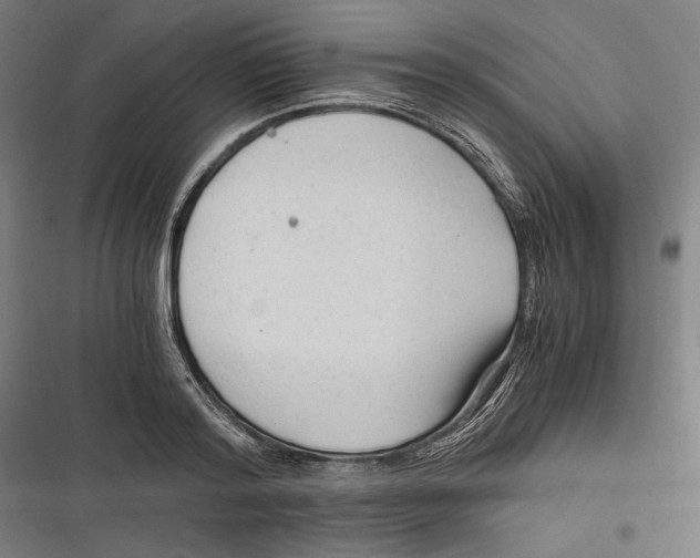 X0000116640796201001111207