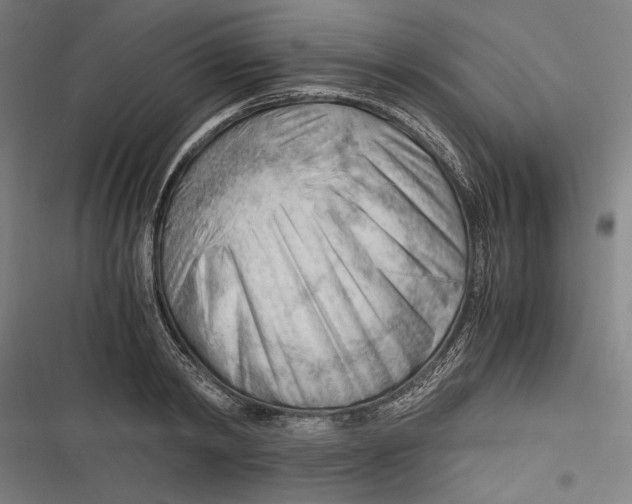 X0000116640798201001111207