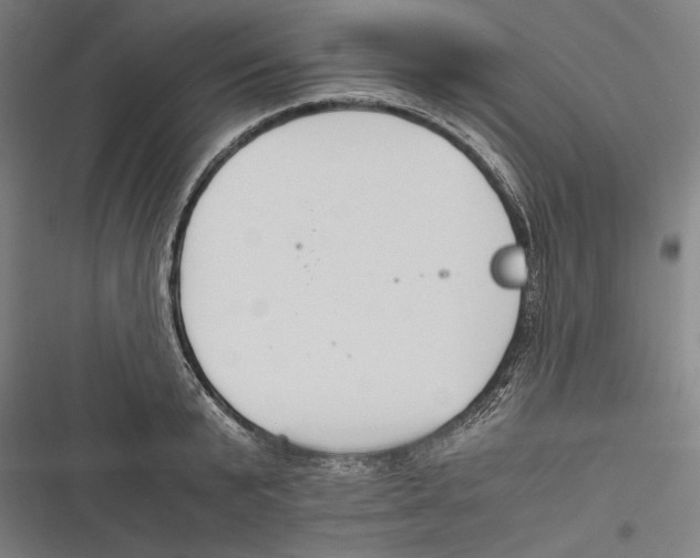 X0000116640799201001111207