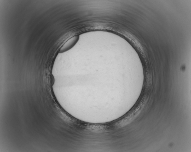 X0000116640801201001111207