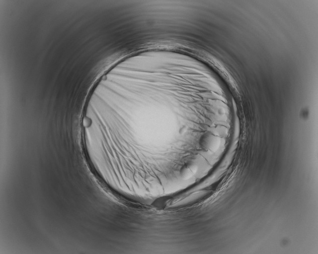 X0000116640802201001111207