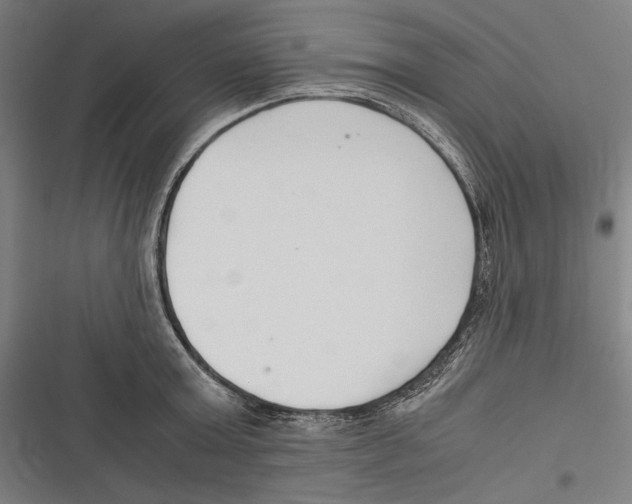 X0000116640803201001111207