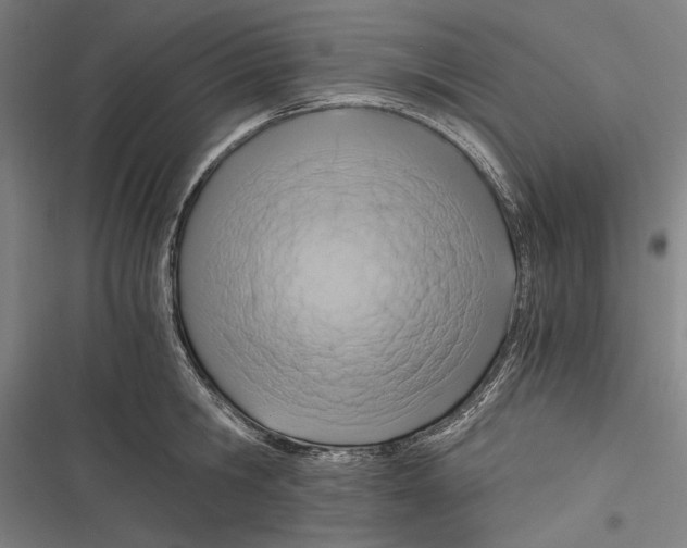 X0000116640806201001111207