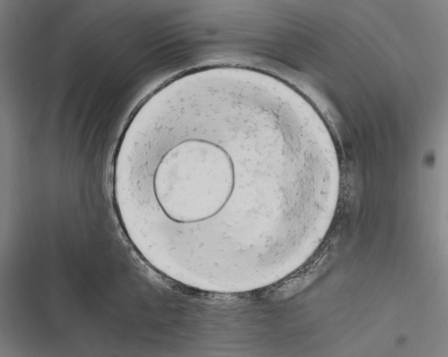 X0000116640807201001111207