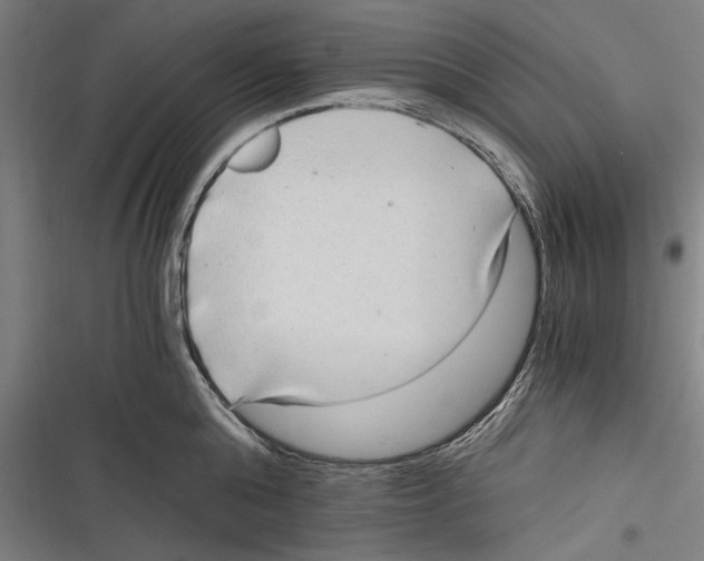 X0000116640808201001111207