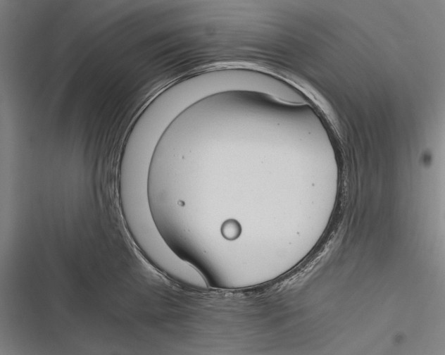 X0000116640809201001111207