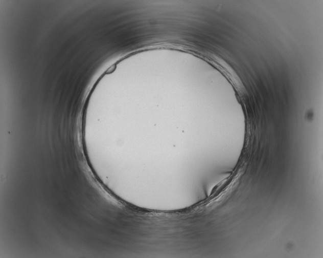 X0000116640812201001111207