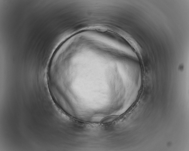 X0000116640813201001111207