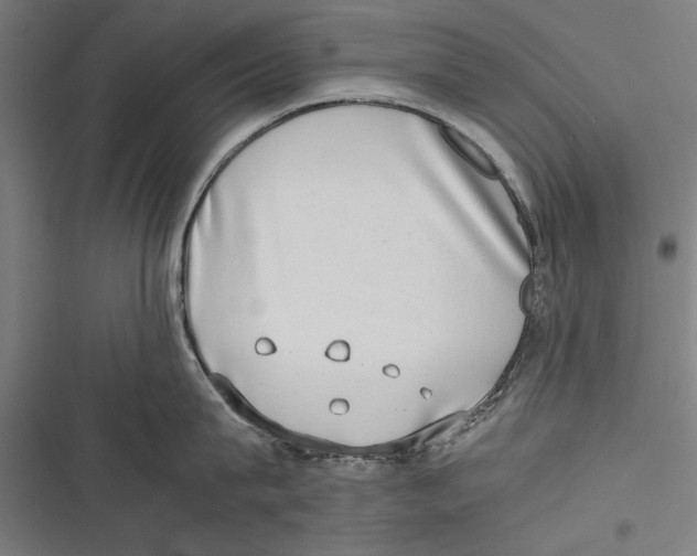 X0000116640815201001111207