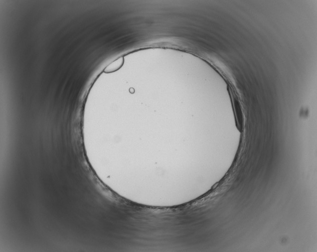 X0000116640816201001111207