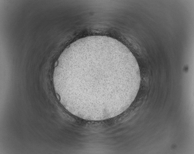 X0000116640817201001111206