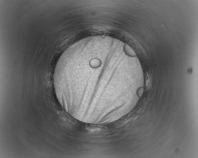 X0000116640819201001111206