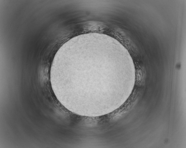 X0000116640820201001111206