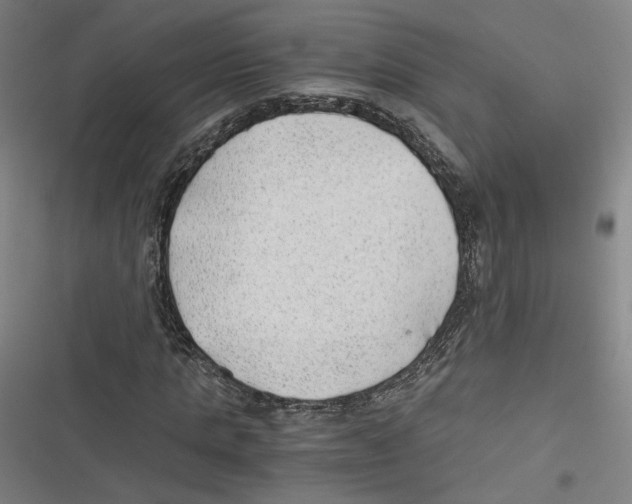 X0000116640821201001111206