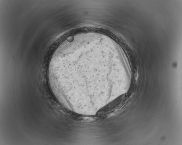 X0000116640822201001111206