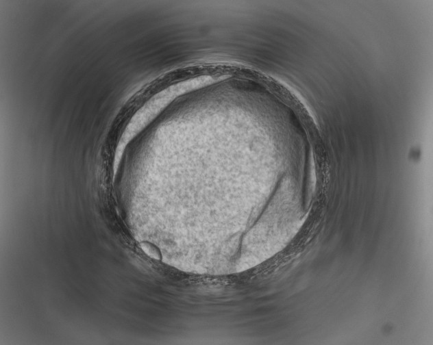 X0000116640823201001111206