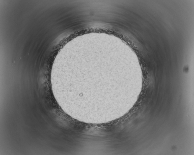 X0000116640824201001111206