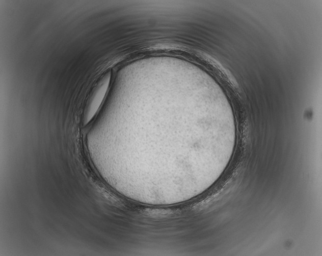 X0000116640825201001111206