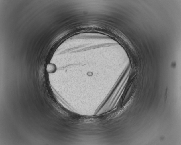 X0000116640826201001111206