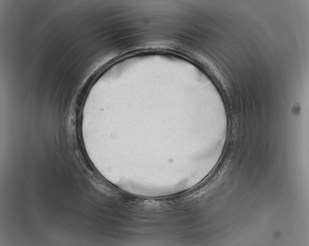 X0000116640827201001111206