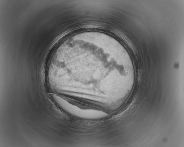 X0000116640829201001111206