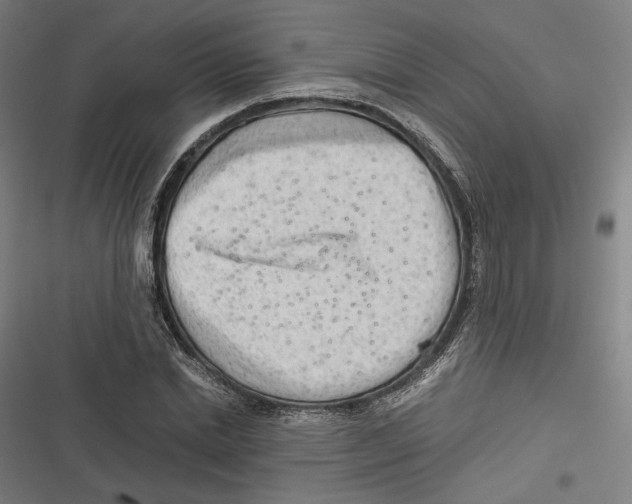 X0000116640830201001111206