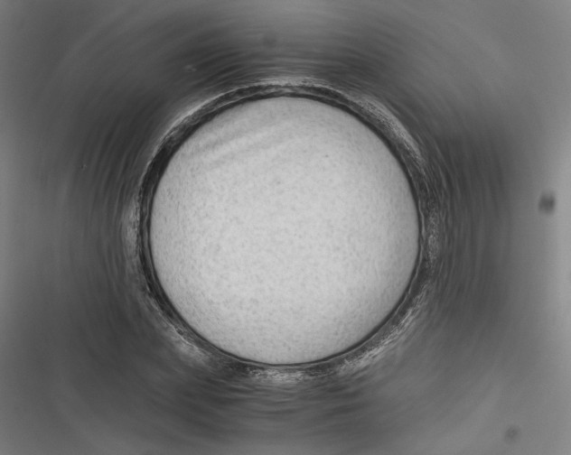 X0000116640831201001111206