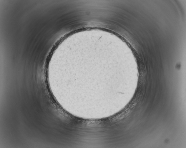 X0000116640832201001111206