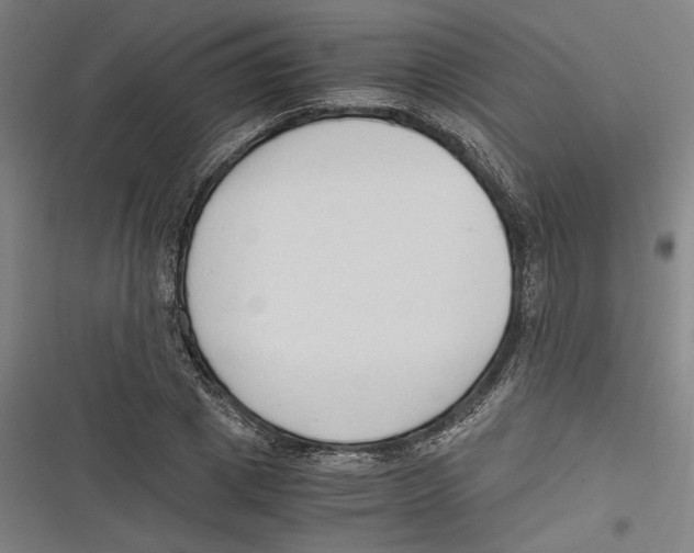 X0000116640833201001111206