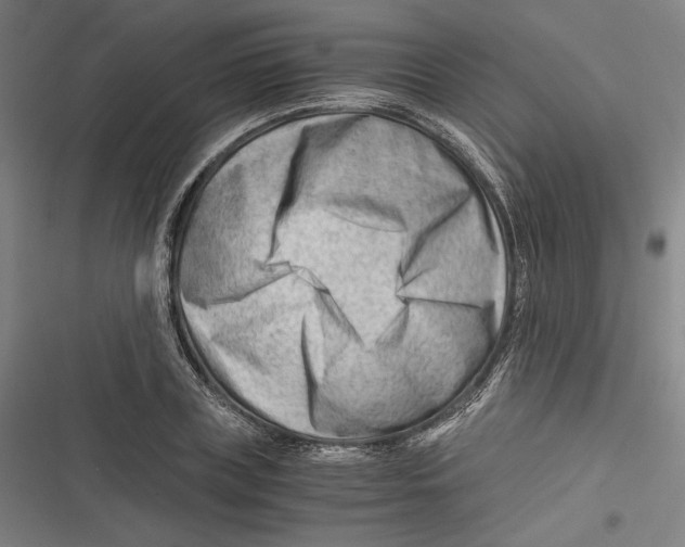 X0000116640835201001111206