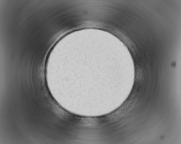 X0000116640836201001111206