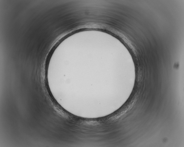 X0000116640837201001111206