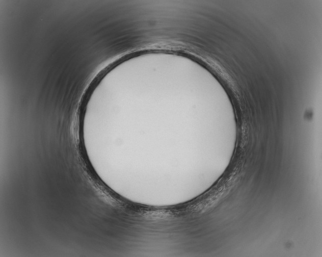 X0000116640838201001111206