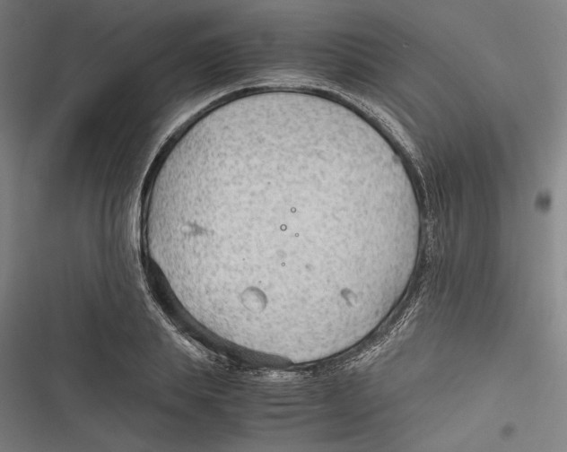 X0000116640839201001111206