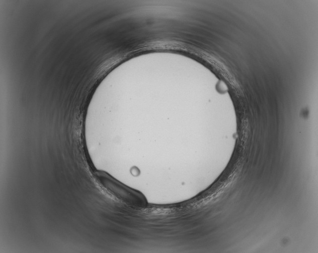 X0000116640841201001111206