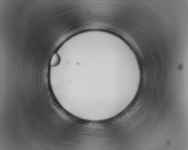 X0000116640842201001111206