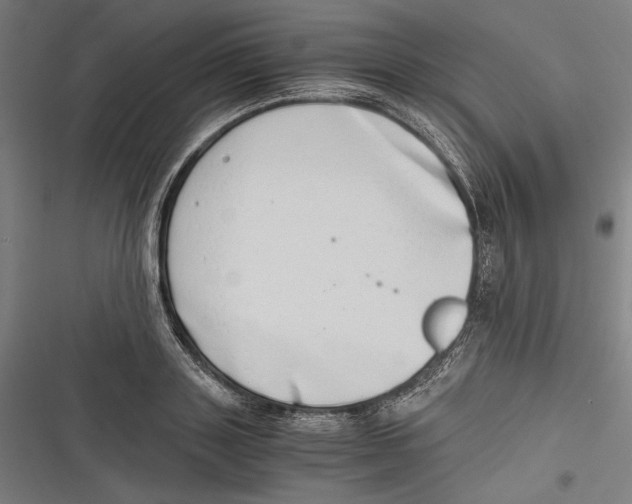 X0000116640843201001111206