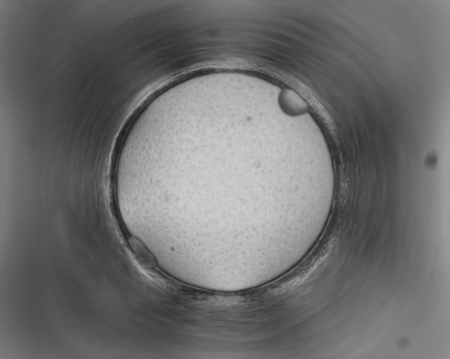 X0000116640845201001111206