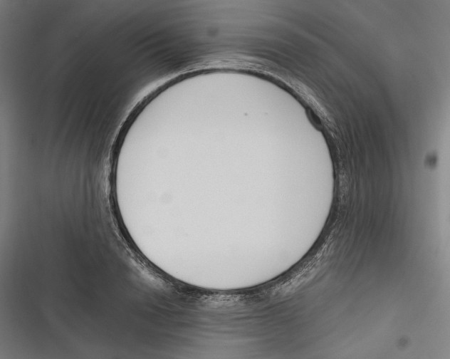 X0000116640846201001111206