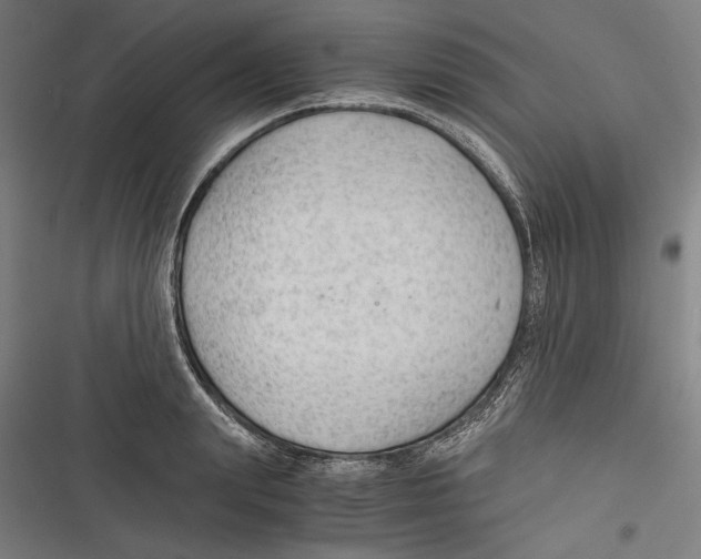 X0000116640847201001111206