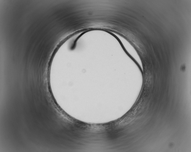 X0000116640848201001111206