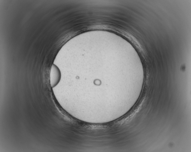 X0000116640849201001111206