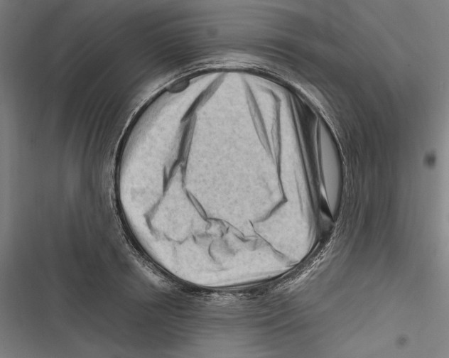 X0000116640850201001111206