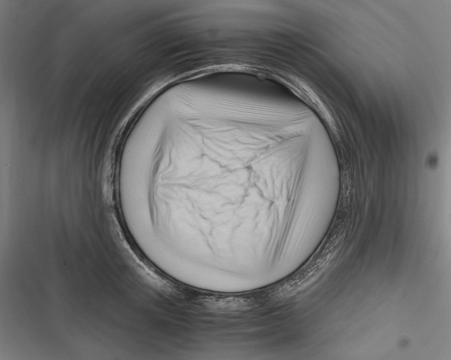 X0000116640851201001111206