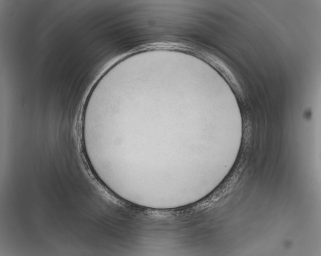 X0000116640852201001111206