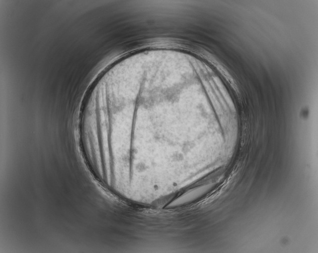 X0000116640853201001111206