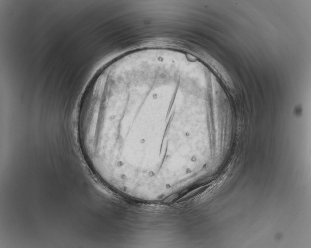 X0000116640854201001111206