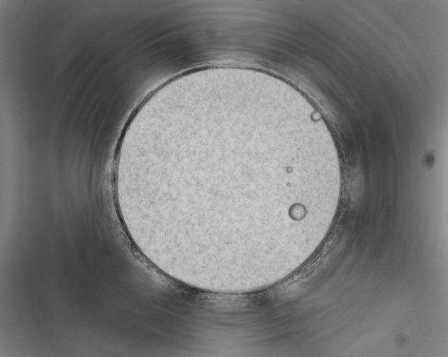 X0000116640856201001111206