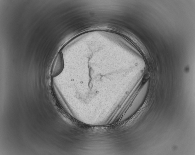 X0000116640858201001111206